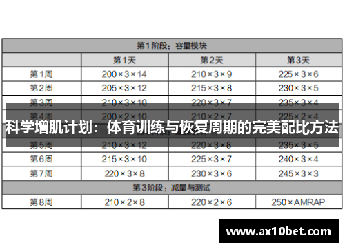 科学增肌计划：体育训练与恢复周期的完美配比方法